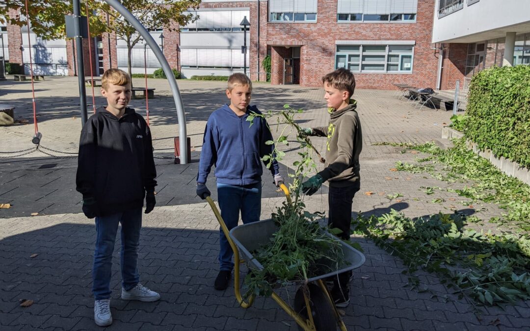 Grüne Daumen unterwegs: Biokurs macht unseren Schulgarten winterfit