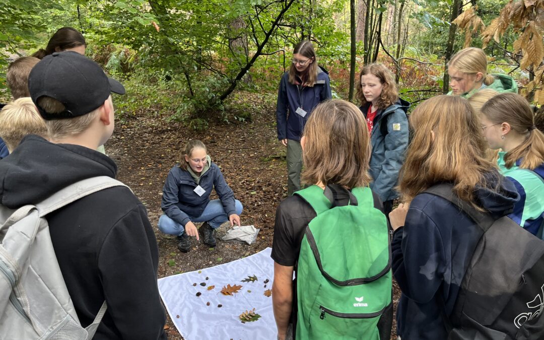 Biologiekurs der Jahrgangsstufe 7 meistert spannende „Natur-Challenges“ bei Waldexkursion