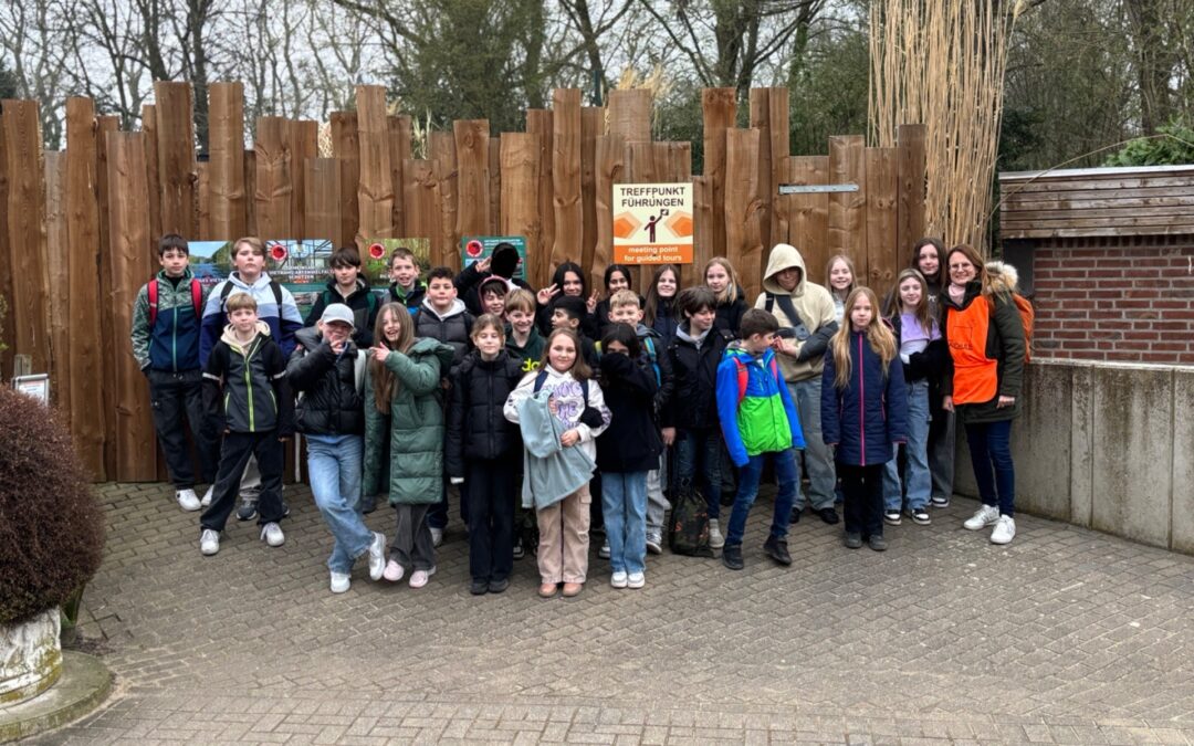 Von Erdmännchen und roten Pandas: Klasse 5b entdeckt den Klever Tiergarten